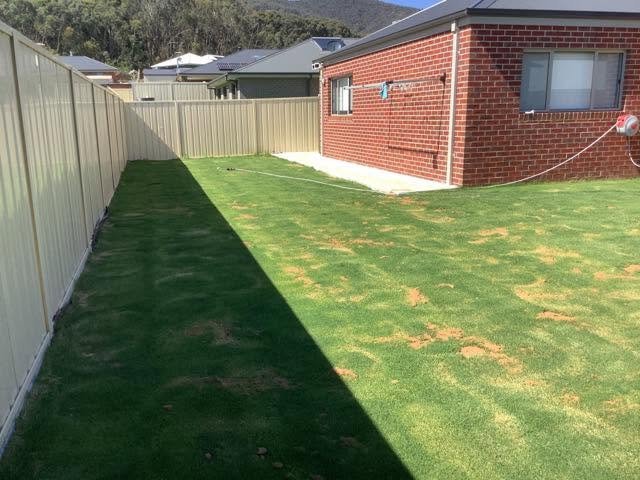 Finished lawn after A1 outdoor preparation